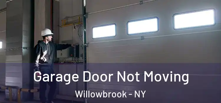  Garage Door Not Moving Willowbrook - NY