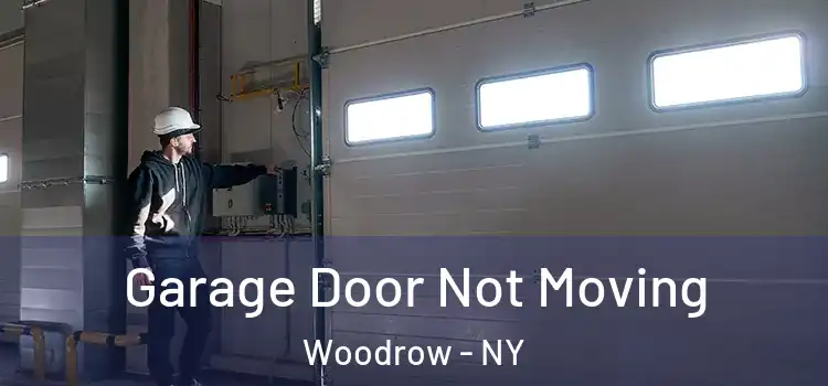  Garage Door Not Moving Woodrow - NY