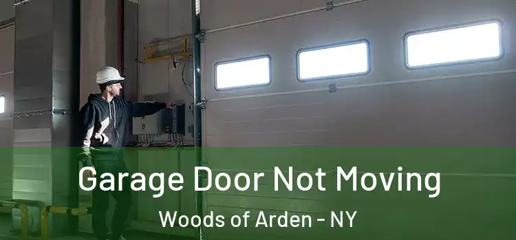  Garage Door Not Moving Woods of Arden - NY