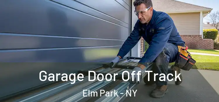  Garage Door Off Track Elm Park - NY