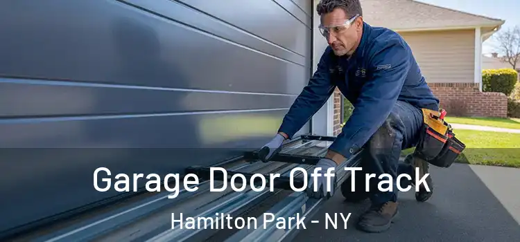  Garage Door Off Track Hamilton Park - NY