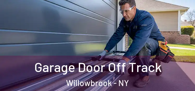  Garage Door Off Track Willowbrook - NY