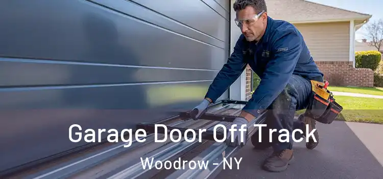  Garage Door Off Track Woodrow - NY