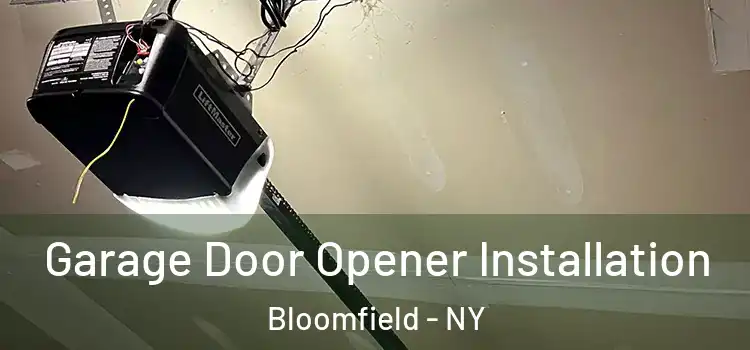  Garage Door Opener Installation Bloomfield - NY