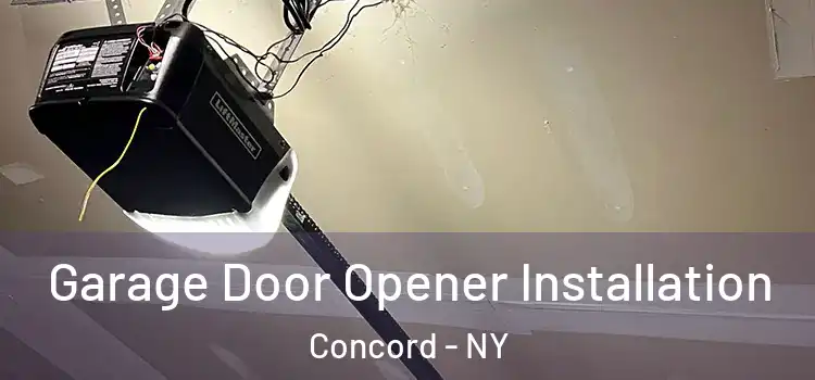  Garage Door Opener Installation Concord - NY