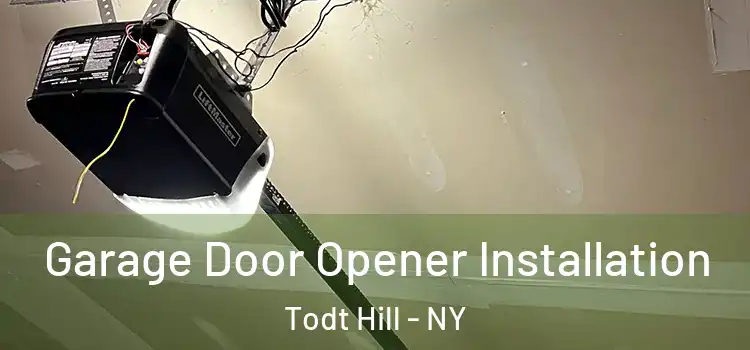  Garage Door Opener Installation Todt Hill - NY