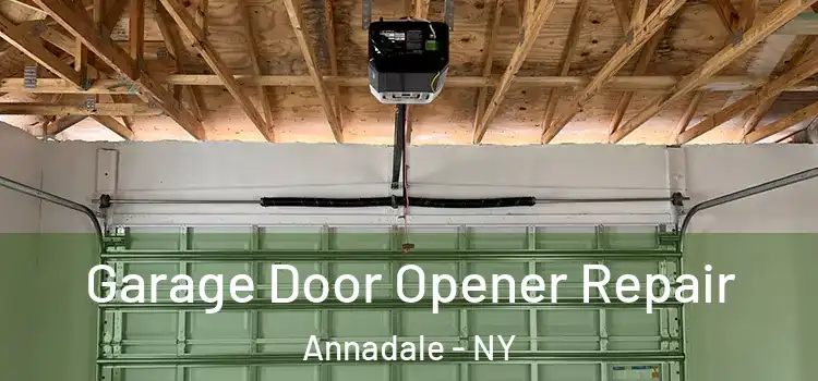  Garage Door Opener Repair Annadale - NY
