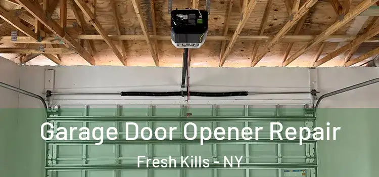  Garage Door Opener Repair Fresh Kills - NY
