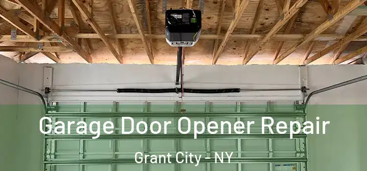  Garage Door Opener Repair Grant City - NY