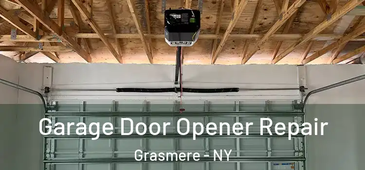  Garage Door Opener Repair Grasmere - NY