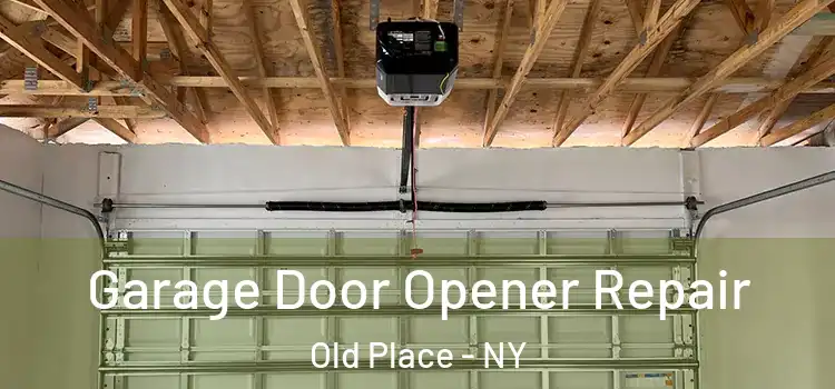  Garage Door Opener Repair Old Place - NY