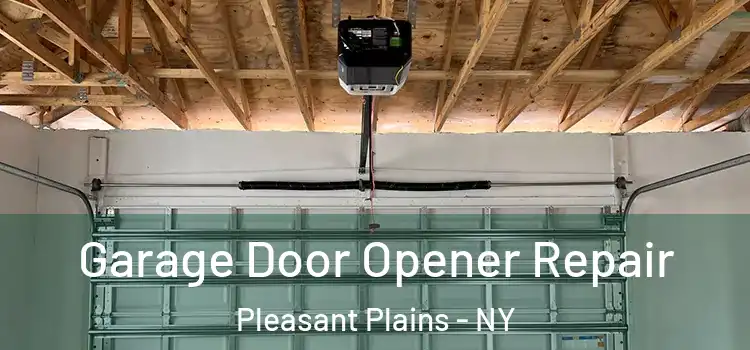  Garage Door Opener Repair Pleasant Plains - NY