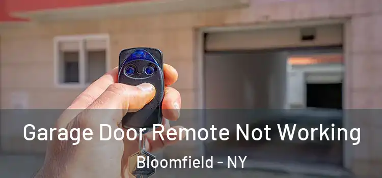  Garage Door Remote Not Working Bloomfield - NY