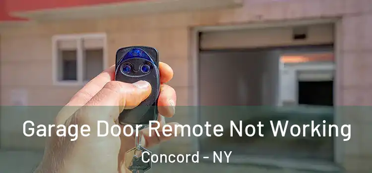  Garage Door Remote Not Working Concord - NY