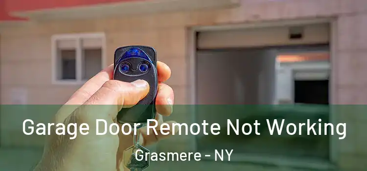  Garage Door Remote Not Working Grasmere - NY