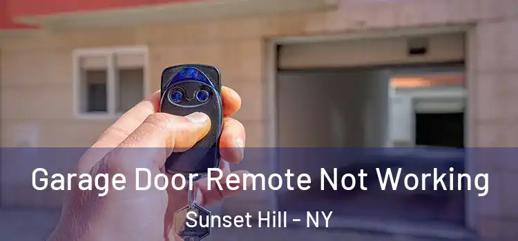  Garage Door Remote Not Working Sunset Hill - NY