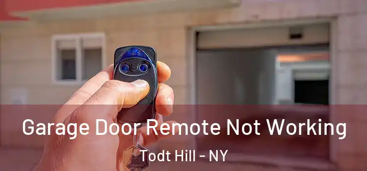  Garage Door Remote Not Working Todt Hill - NY