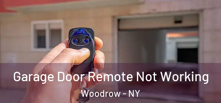  Garage Door Remote Not Working Woodrow - NY
