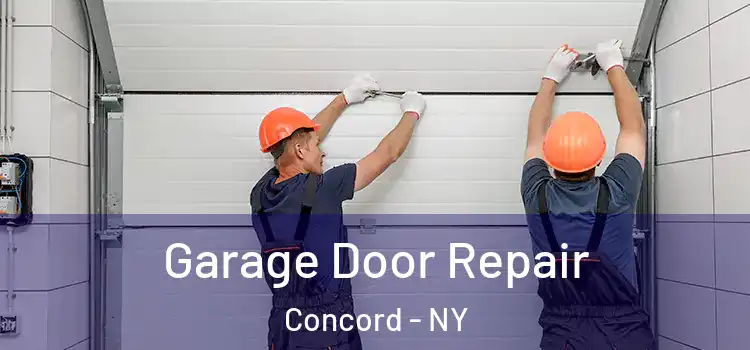  Garage Door Repair Concord - NY