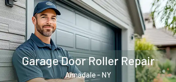  Garage Door Roller Repair Annadale - NY