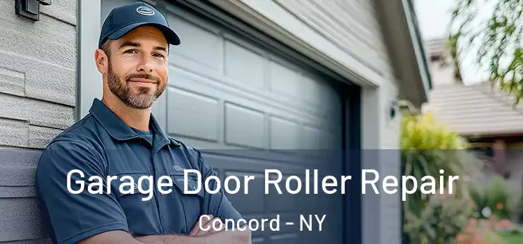  Garage Door Roller Repair Concord - NY