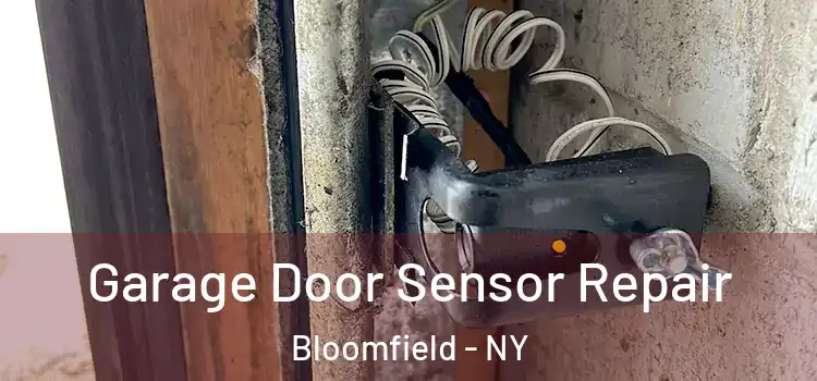  Garage Door Sensor Repair Bloomfield - NY