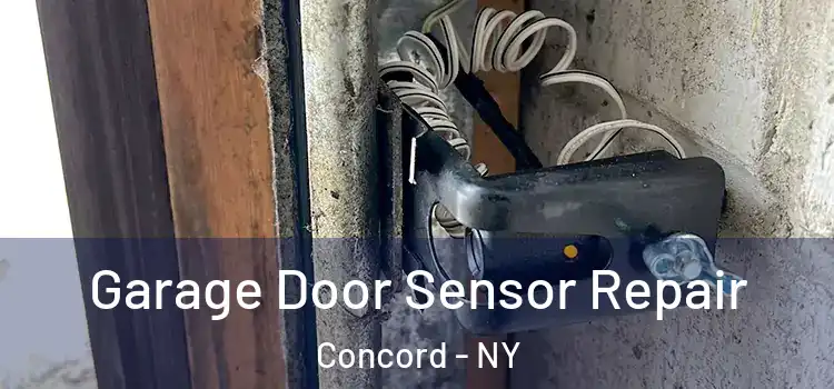Garage Door Sensor Repair Concord - NY