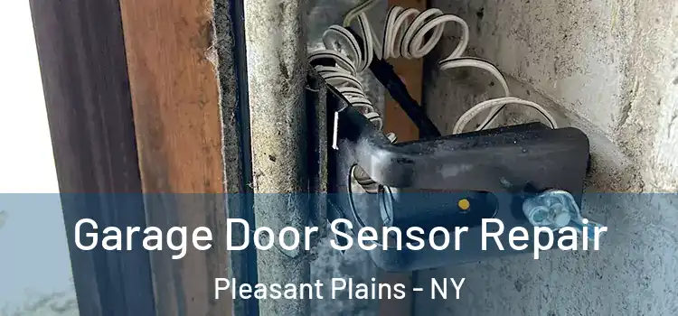 Garage Door Sensor Repair Pleasant Plains - NY