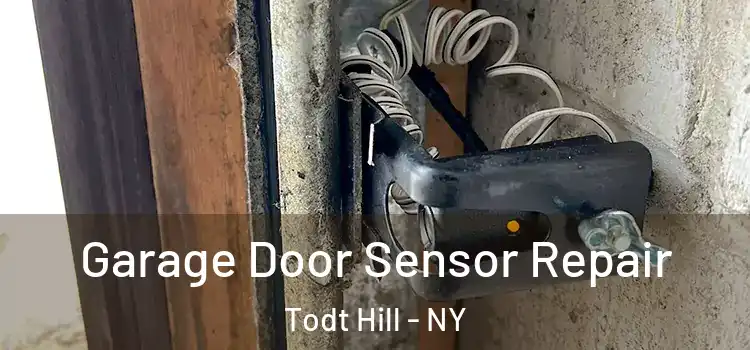 Garage Door Sensor Repair Todt Hill - NY