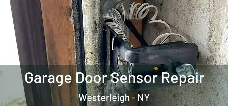  Garage Door Sensor Repair Westerleigh - NY