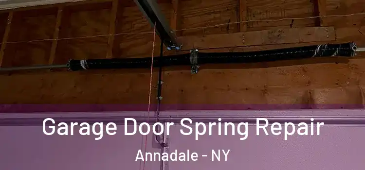  Garage Door Spring Repair Annadale - NY