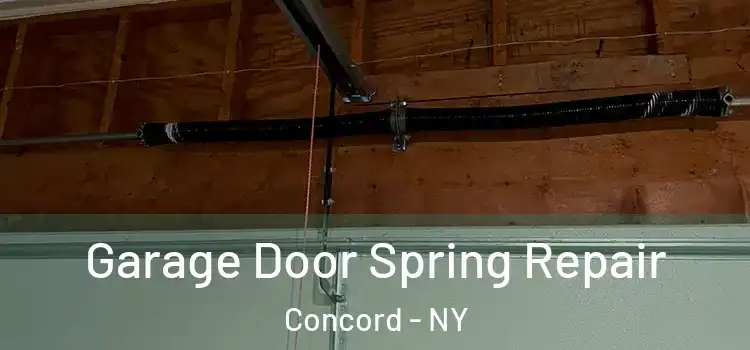  Garage Door Spring Repair Concord - NY