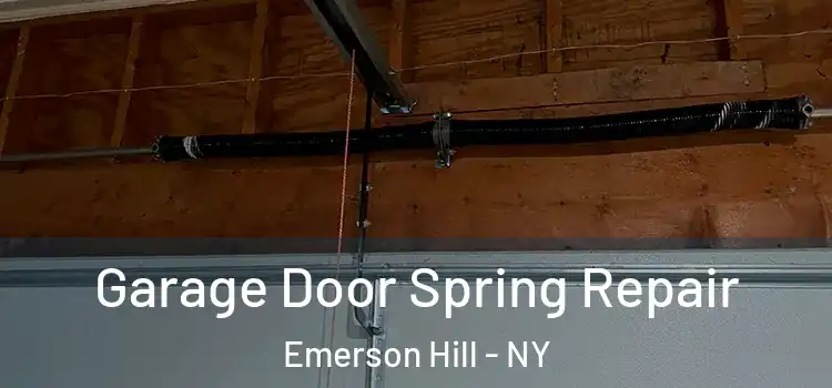  Garage Door Spring Repair Emerson Hill - NY