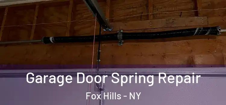  Garage Door Spring Repair Fox Hills - NY
