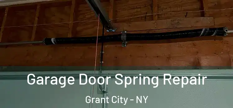  Garage Door Spring Repair Grant City - NY