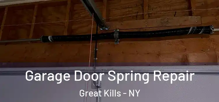  Garage Door Spring Repair Great Kills - NY