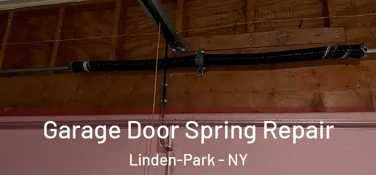  Garage Door Spring Repair Linden-Park - NY