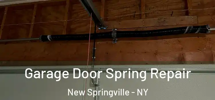  Garage Door Spring Repair New Springville - NY