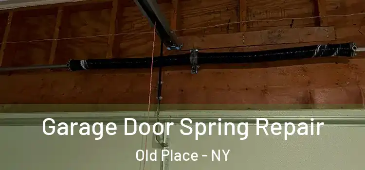  Garage Door Spring Repair Old Place - NY