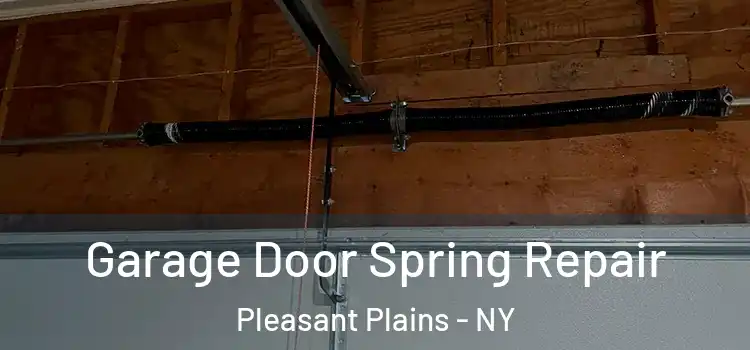  Garage Door Spring Repair Pleasant Plains - NY