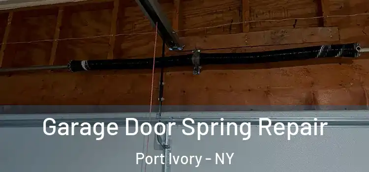  Garage Door Spring Repair Port Ivory - NY