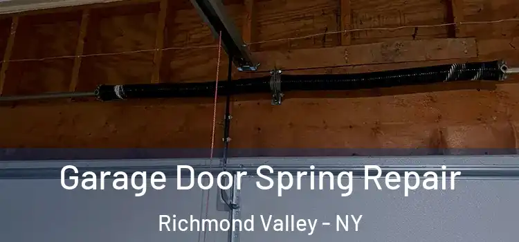  Garage Door Spring Repair Richmond Valley - NY