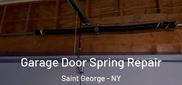  Garage Door Spring Repair Saint George - NY