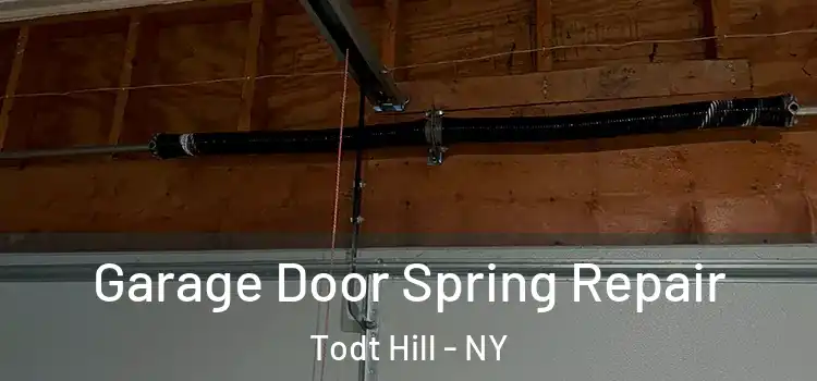  Garage Door Spring Repair Todt Hill - NY