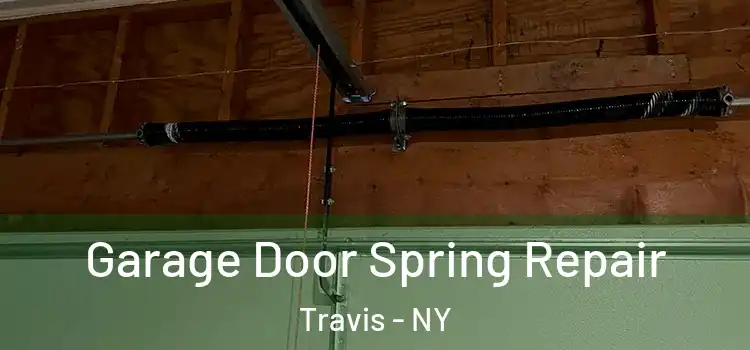  Garage Door Spring Repair Travis - NY