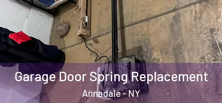  Garage Door Spring Replacement Annadale - NY