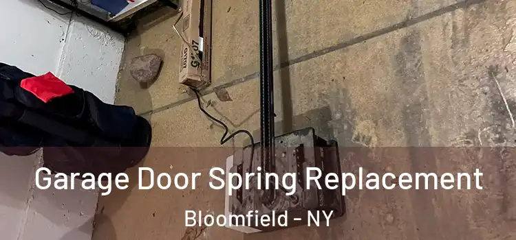  Garage Door Spring Replacement Bloomfield - NY