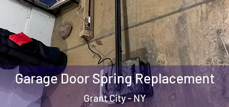  Garage Door Spring Replacement Grant City - NY