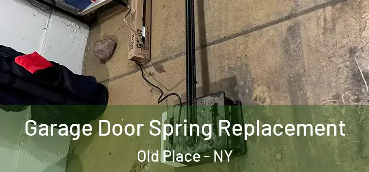  Garage Door Spring Replacement Old Place - NY