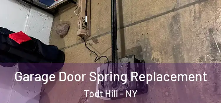  Garage Door Spring Replacement Todt Hill - NY